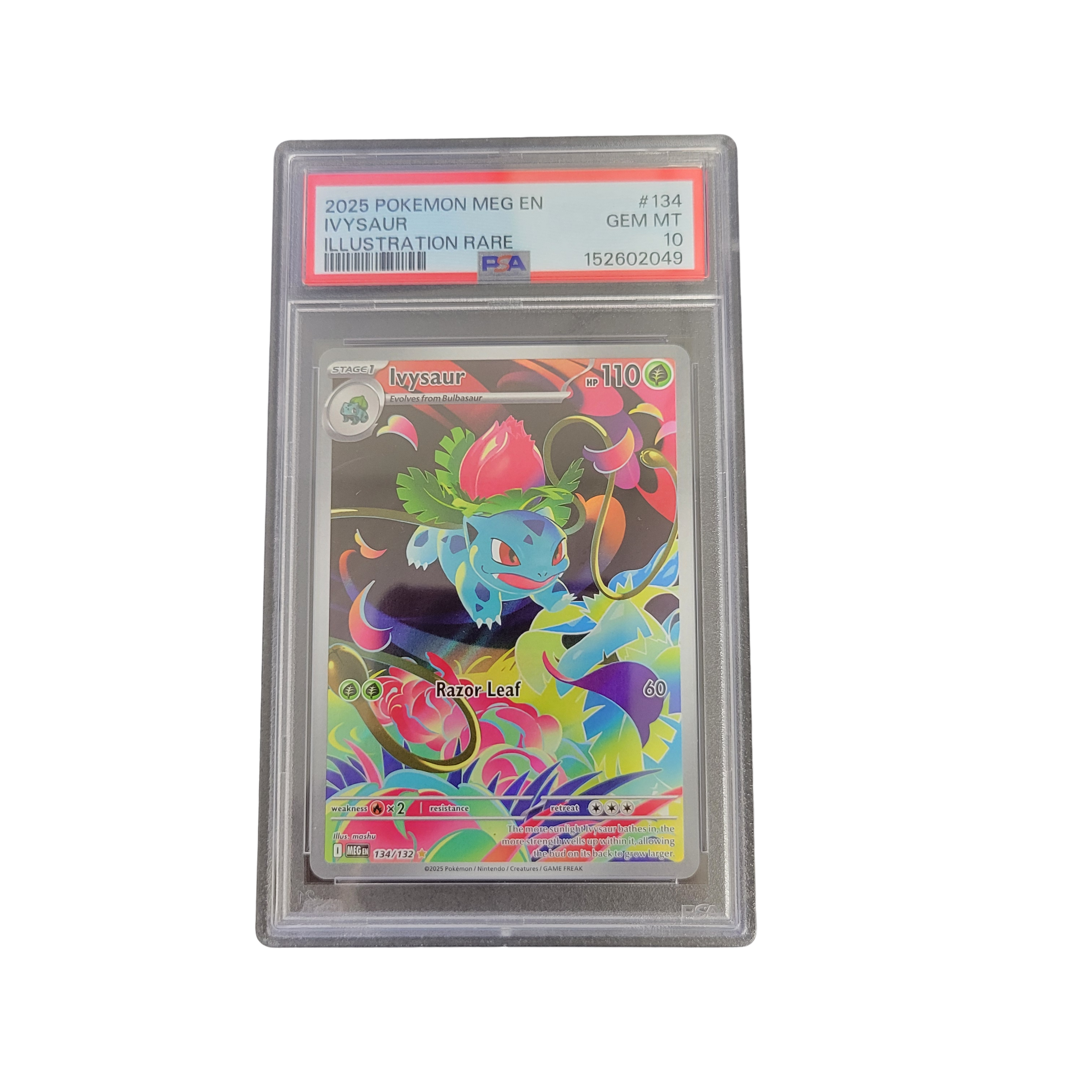 2025 Pokémon Mega Evolution Ivysaur #134 Illustration Rare PSA 10